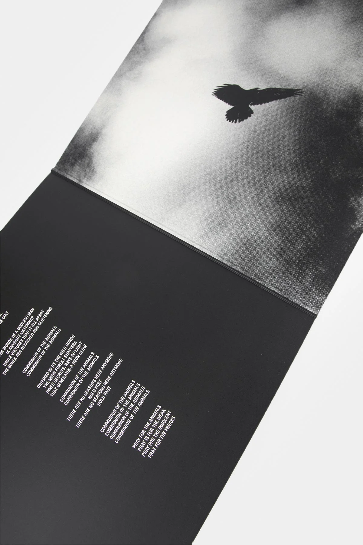 Autumn / Winter 2025 “Road To Never” Vinyl - Image 4