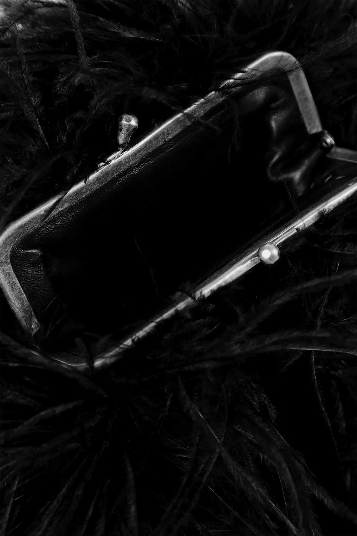 Iza Clutch with Feathers - Image 4